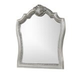 DESTINY MIRROR SILVER