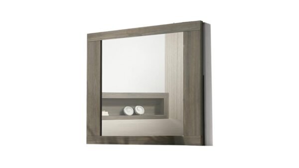 GEM MIRROR