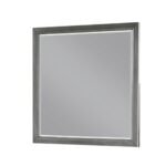 KENZO MIRROR GRAY